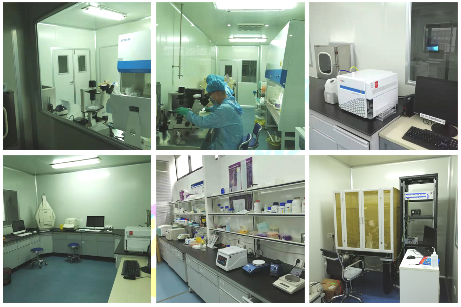 GeneMedi 药诺生物