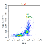 Anti-huCD66b Image 1